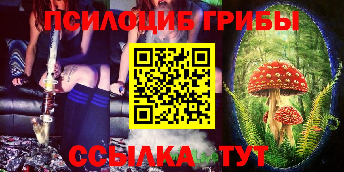 Коряжма  Галлюциногенные грибы Psilocybe  Псилоцибиновые грибы мухоморы  Вход с VPN 